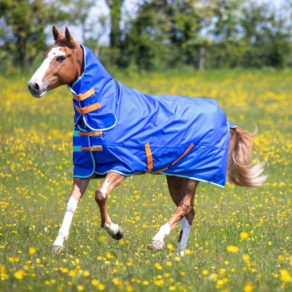 Shires Tempest Original 50 Combo Turnout Rug - Royal