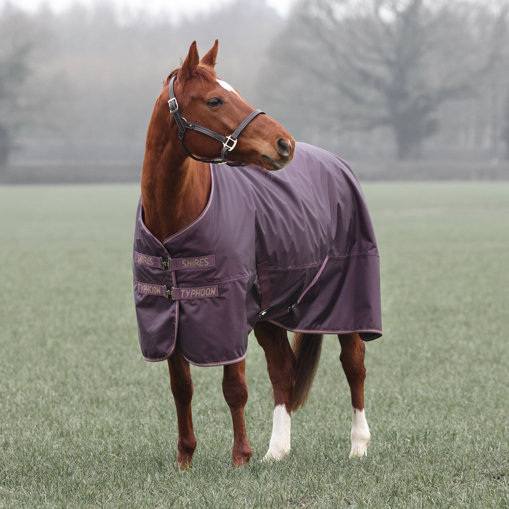 Shires Typhoon 100 Turnout Rug - Black Cherry
