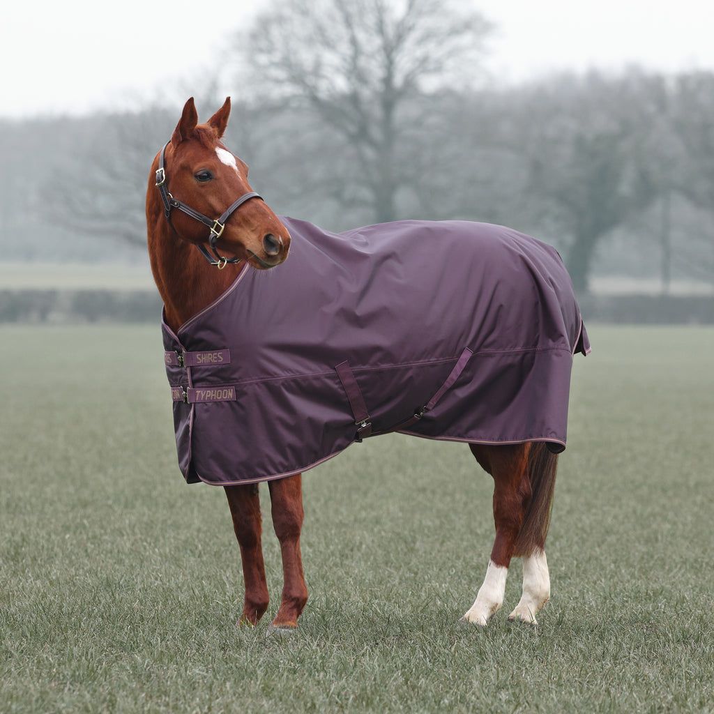 Shires Typhoon 100 Turnout Rug - Black Cherry