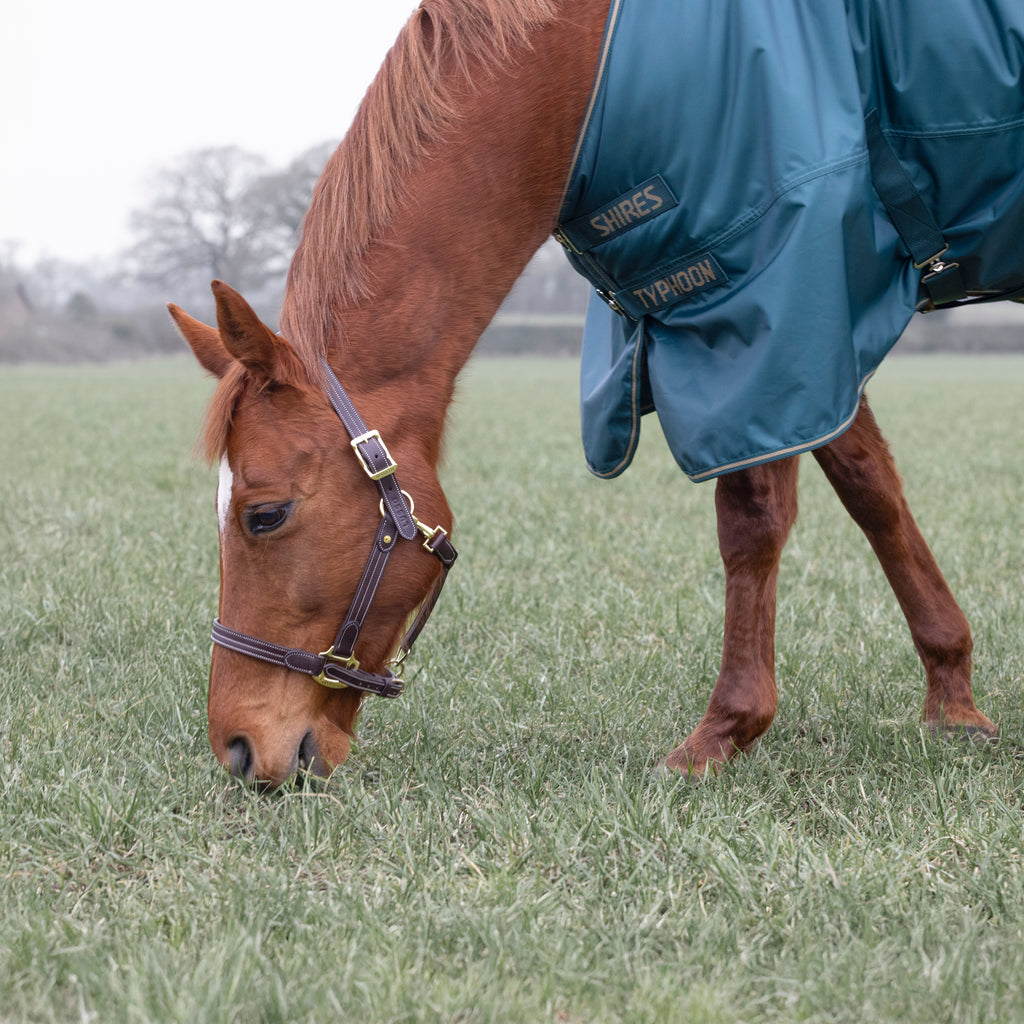 Typhoon 200g Turnout Rug - Green