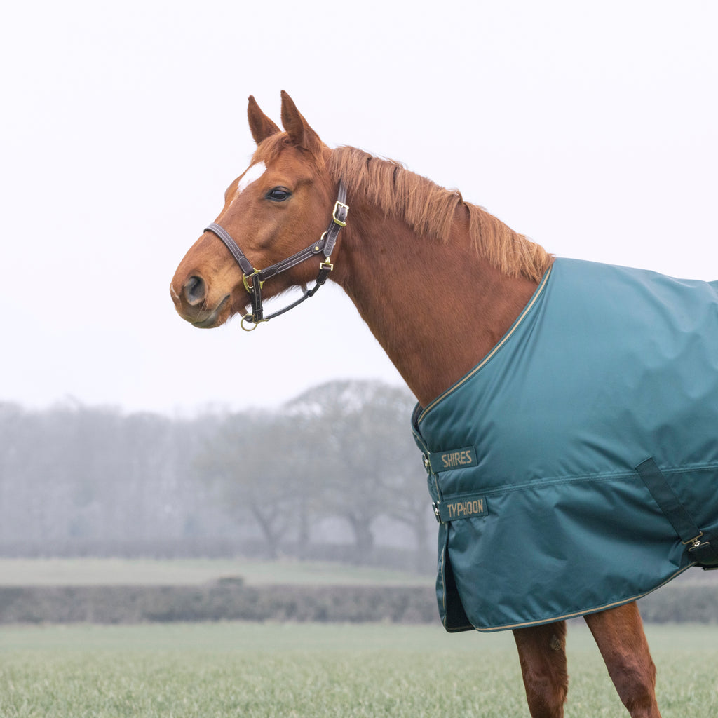 Typhoon 200g Turnout Rug - Green