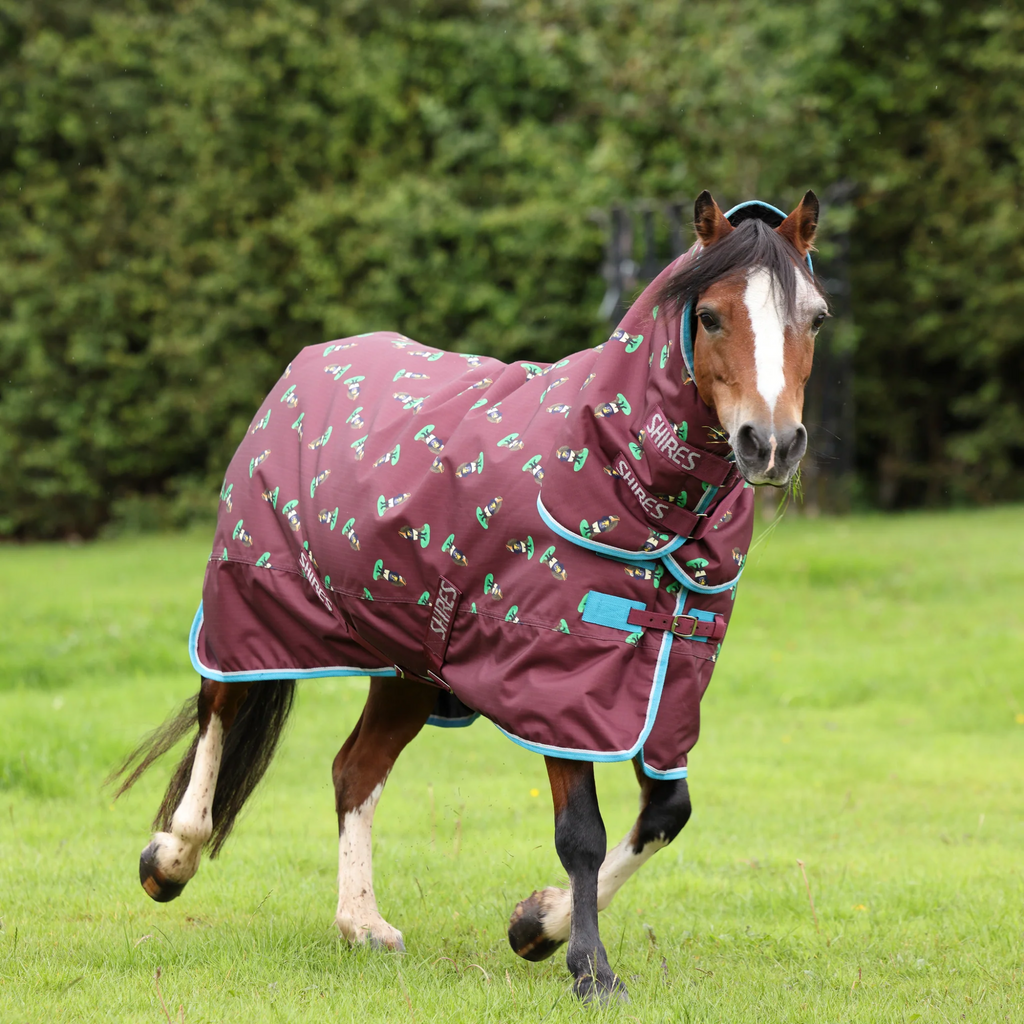 Winnie and Me 200 Combo Turnout Rug - Maroon