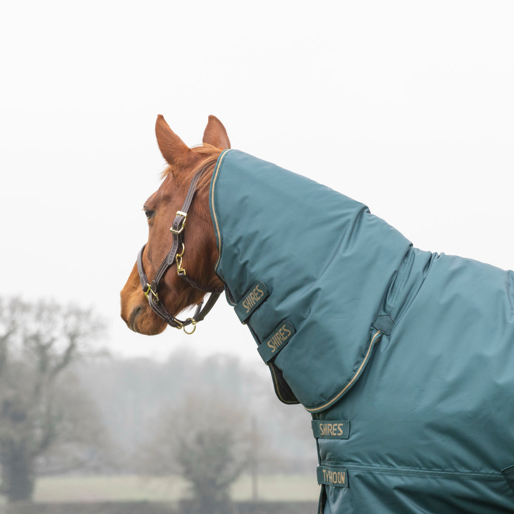 Typhoon 200 Combo Turnout Rug - Green