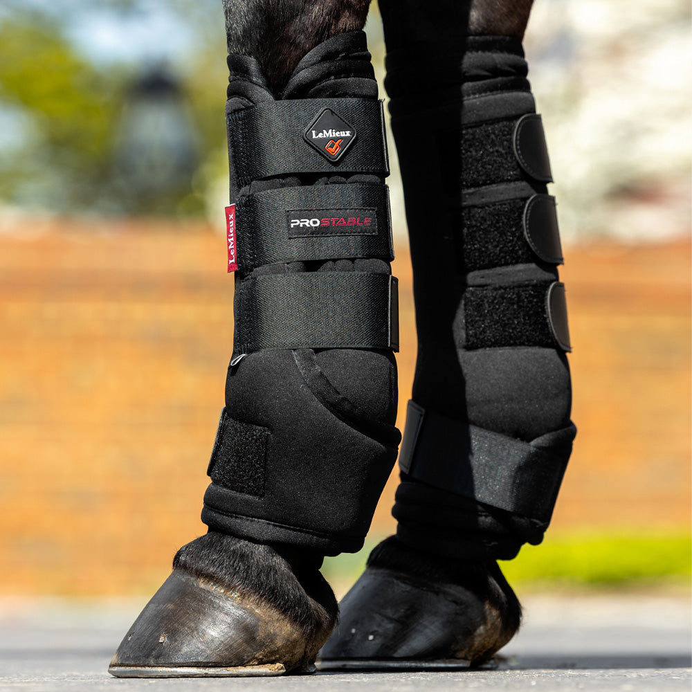 LeMieux Prostable Stable Boots