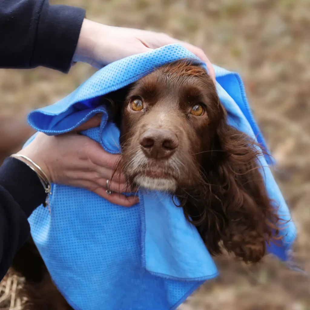 Benji and Flo Quick Dry Dog Towel - Blue one size