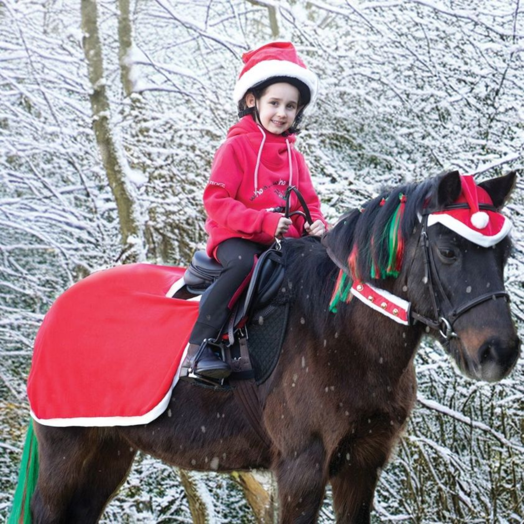 Equetech Santa Festive Horse Quarter Sheet - Red