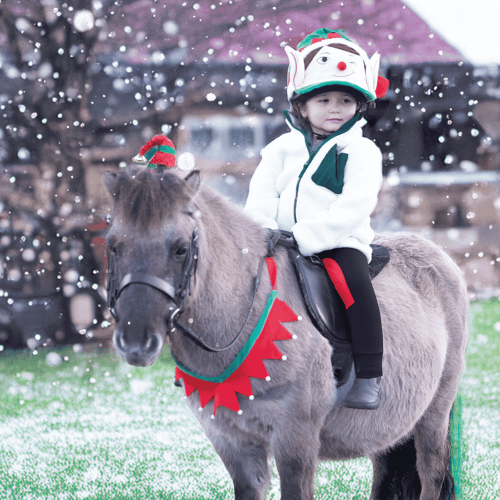 Equetech Festive Horse Christmas Breastplate - Green and Red