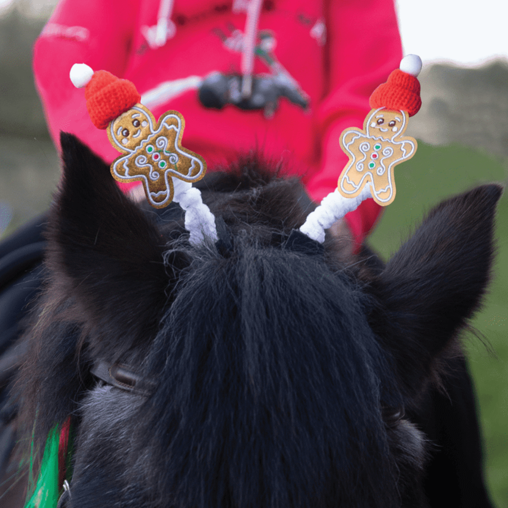 Equetech Gingerbread Man Bridle Boppers - Pair