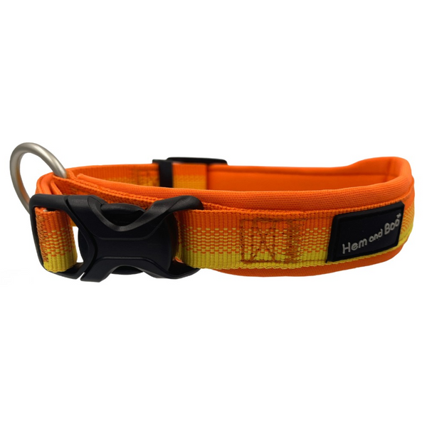 Hem and Boo Pro Lite Sports Collar - Orange