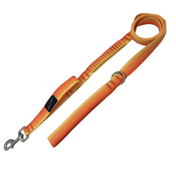 Hem and Boo Pro Lite Shock Absorber Lead - Orange