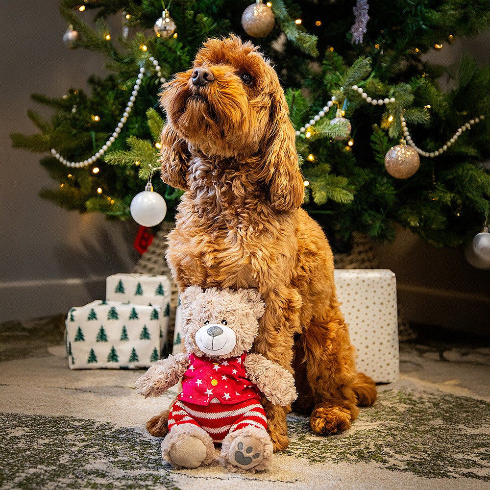 Rosewood Buddy Bear Dog Toy