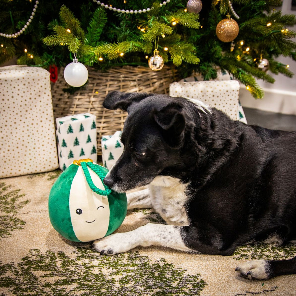 Rosewood Blitzen Bauble Dog Toy