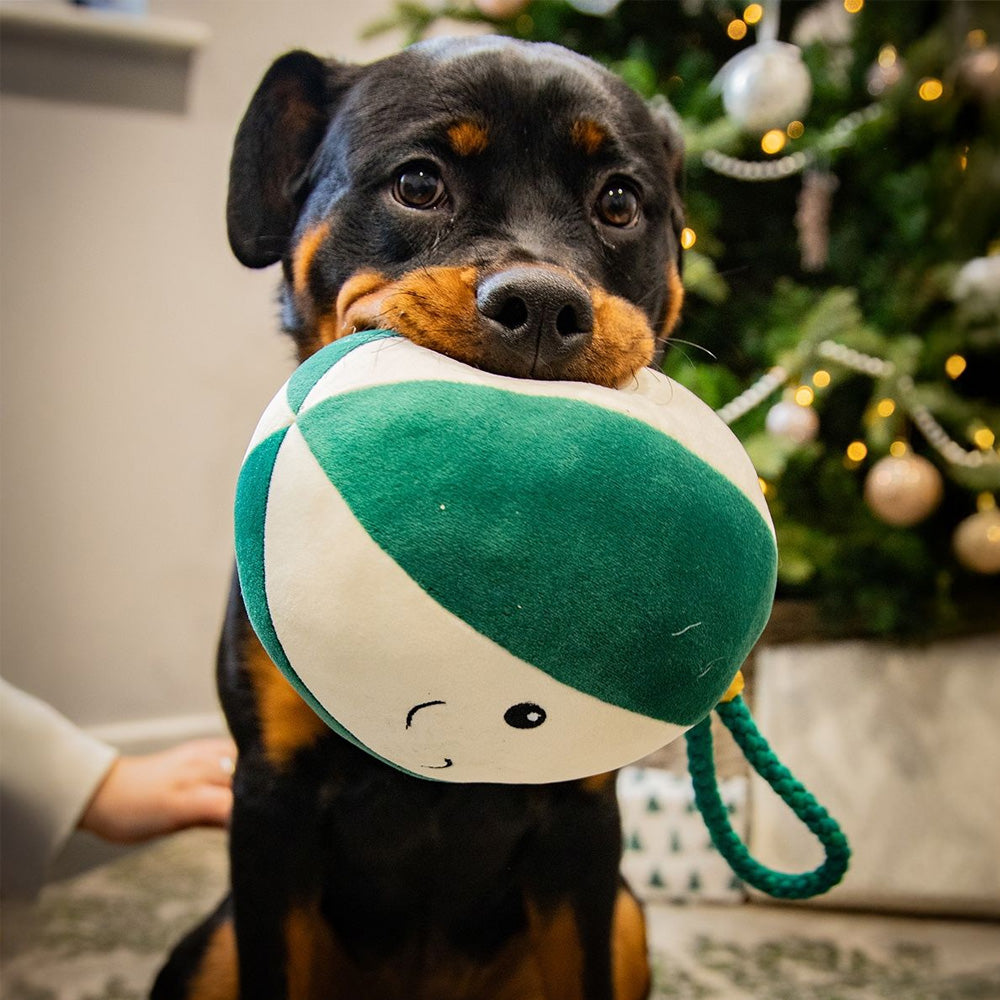 Rosewood Blitzen Bauble Dog Toy
