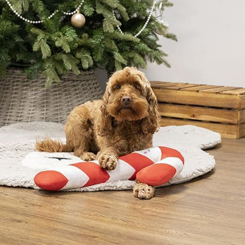 Rosewood Comet Candy Cane Dog Toy
