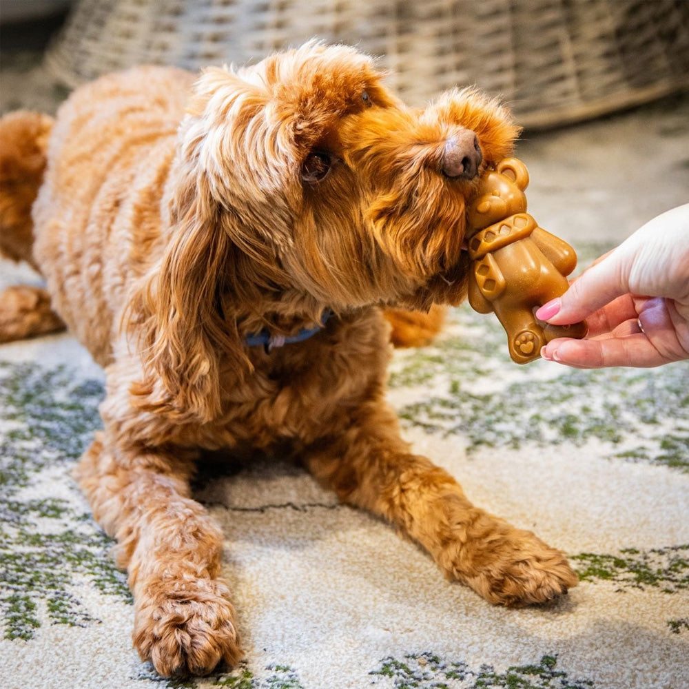 Rosewood Cupid and Comet Festive Teddy Bear Chew Treat