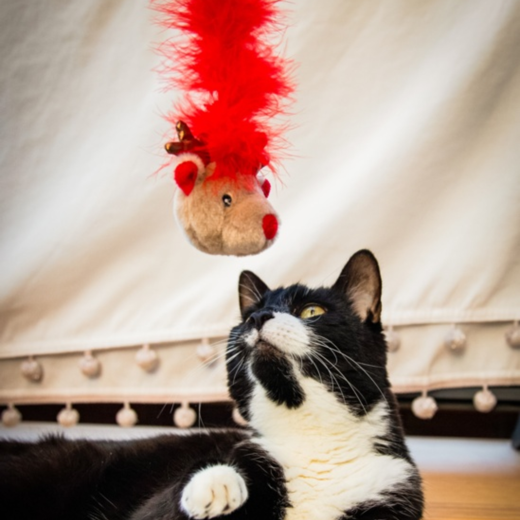 Rosewood Roxy Reindeer Cat Toy