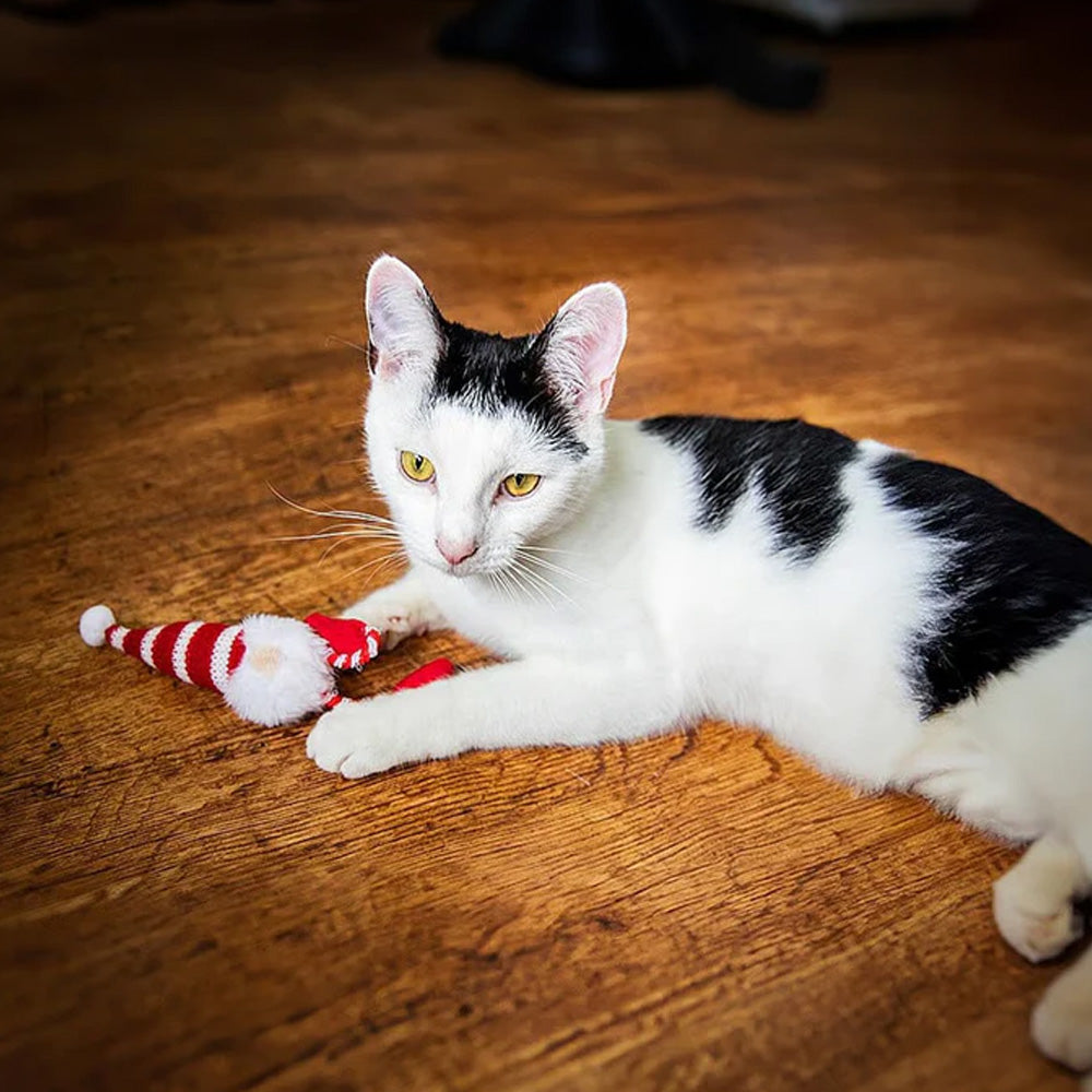 Rosewood Gus Gonk Cat Toy