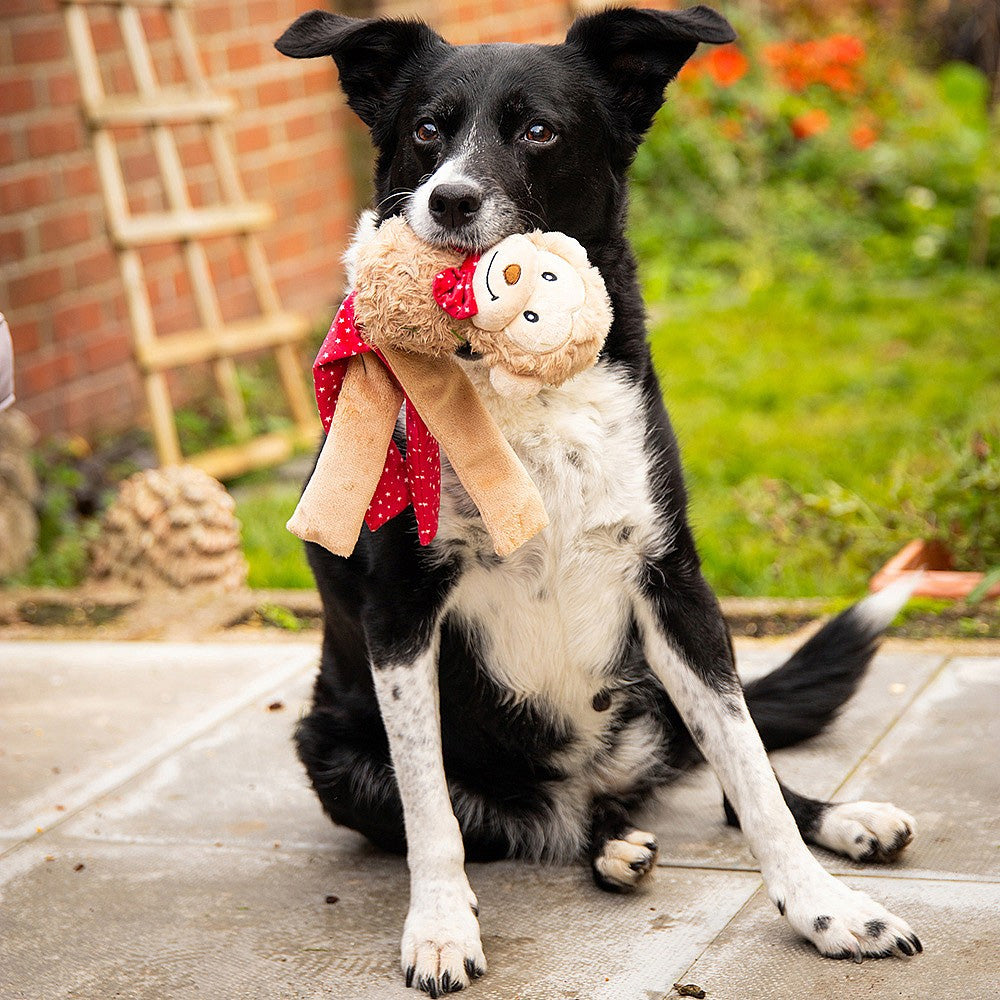 Rosewood Max Monkey Dog Toy