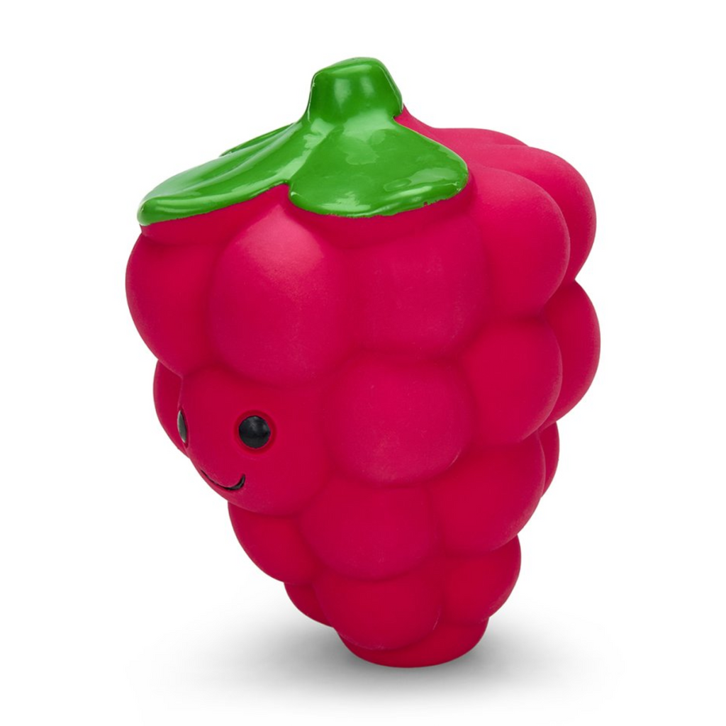 Petface Foodie Faces Latex Raspberry Dog Toy - Large
