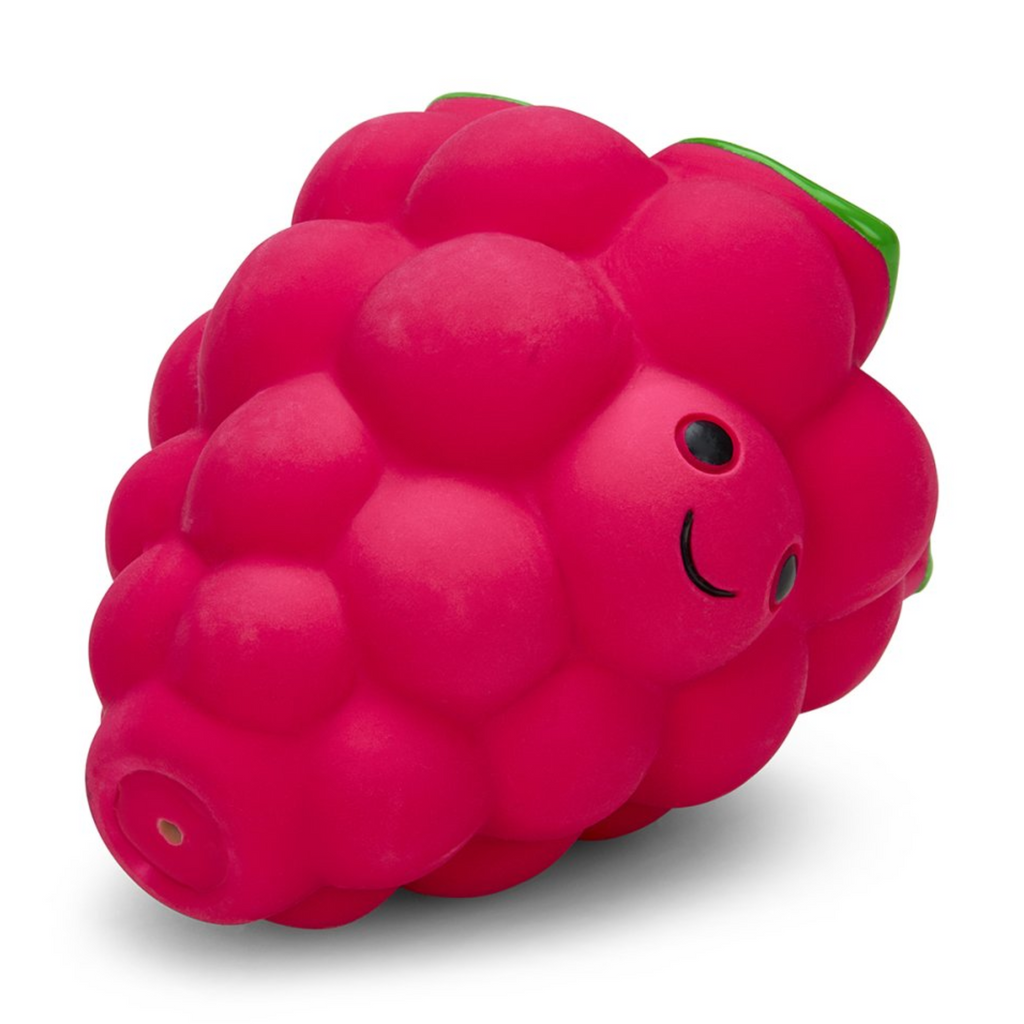Petface Foodie Faces Latex Raspberry Dog Toy - Large