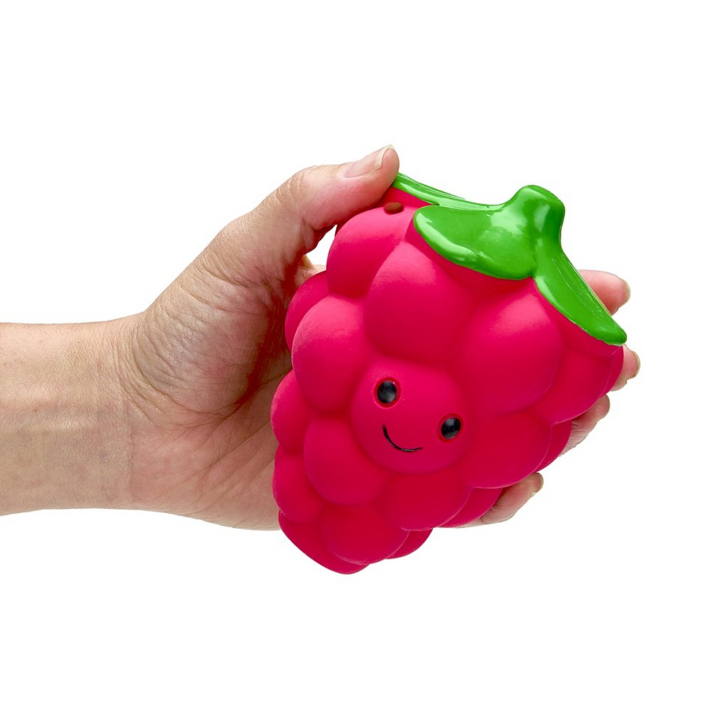 Petface Foodie Faces Latex Raspberry Dog Toy - Large