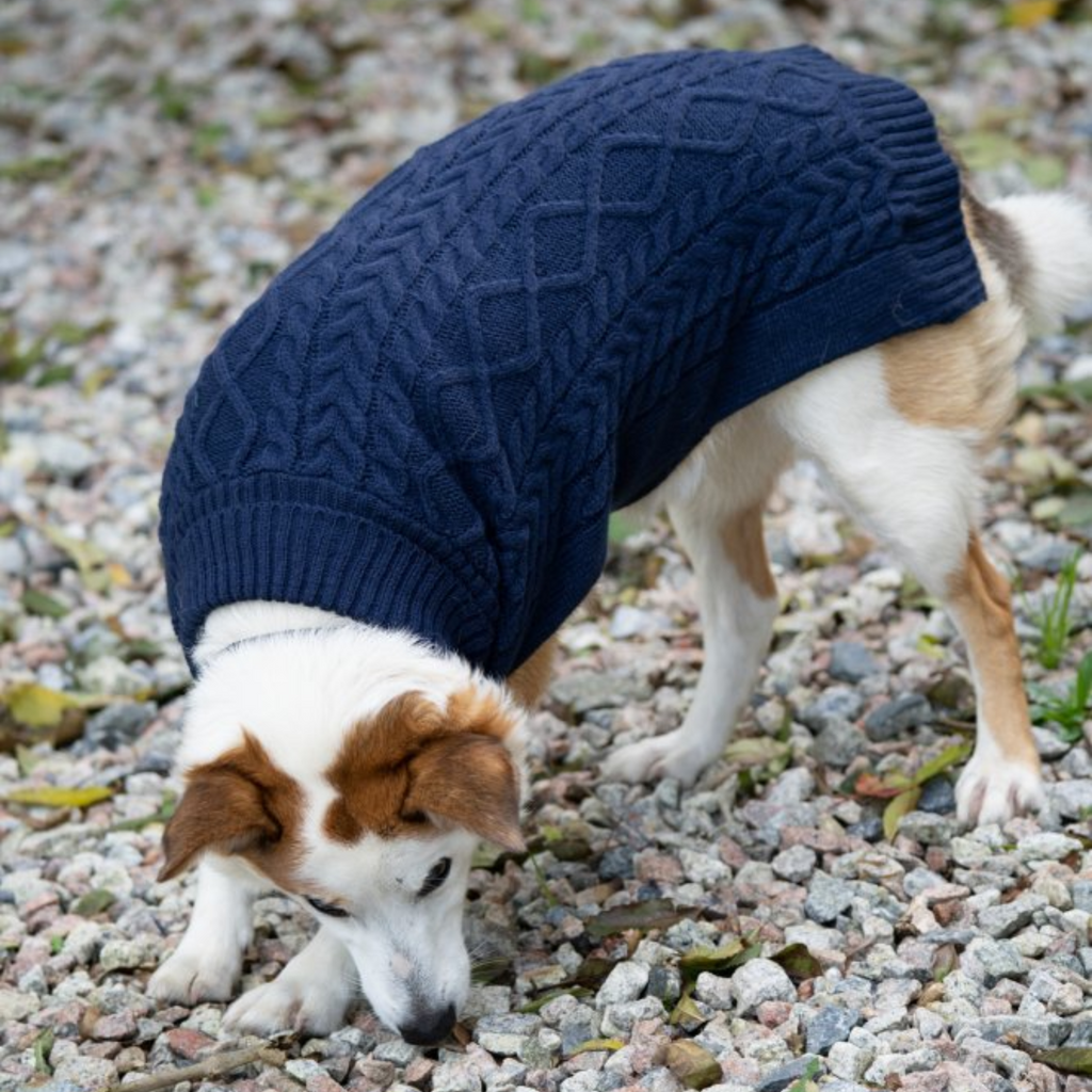 Petface Knitted Dog Jumper - Navy