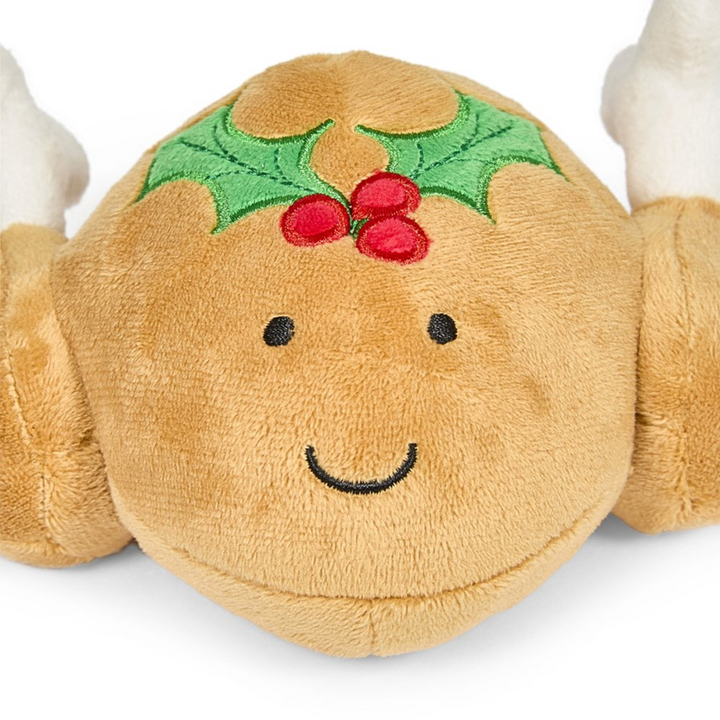 Petface Tasha Turkey Plush Christmas Dog Toy