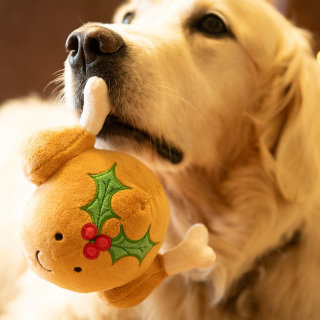 Petface Tasha Turkey Plush Christmas Dog Toy