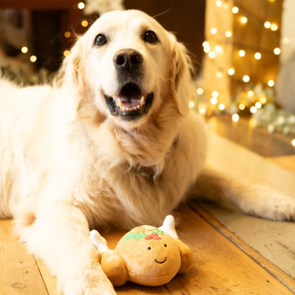 Petface Tasha Turkey Plush Christmas Dog Toy