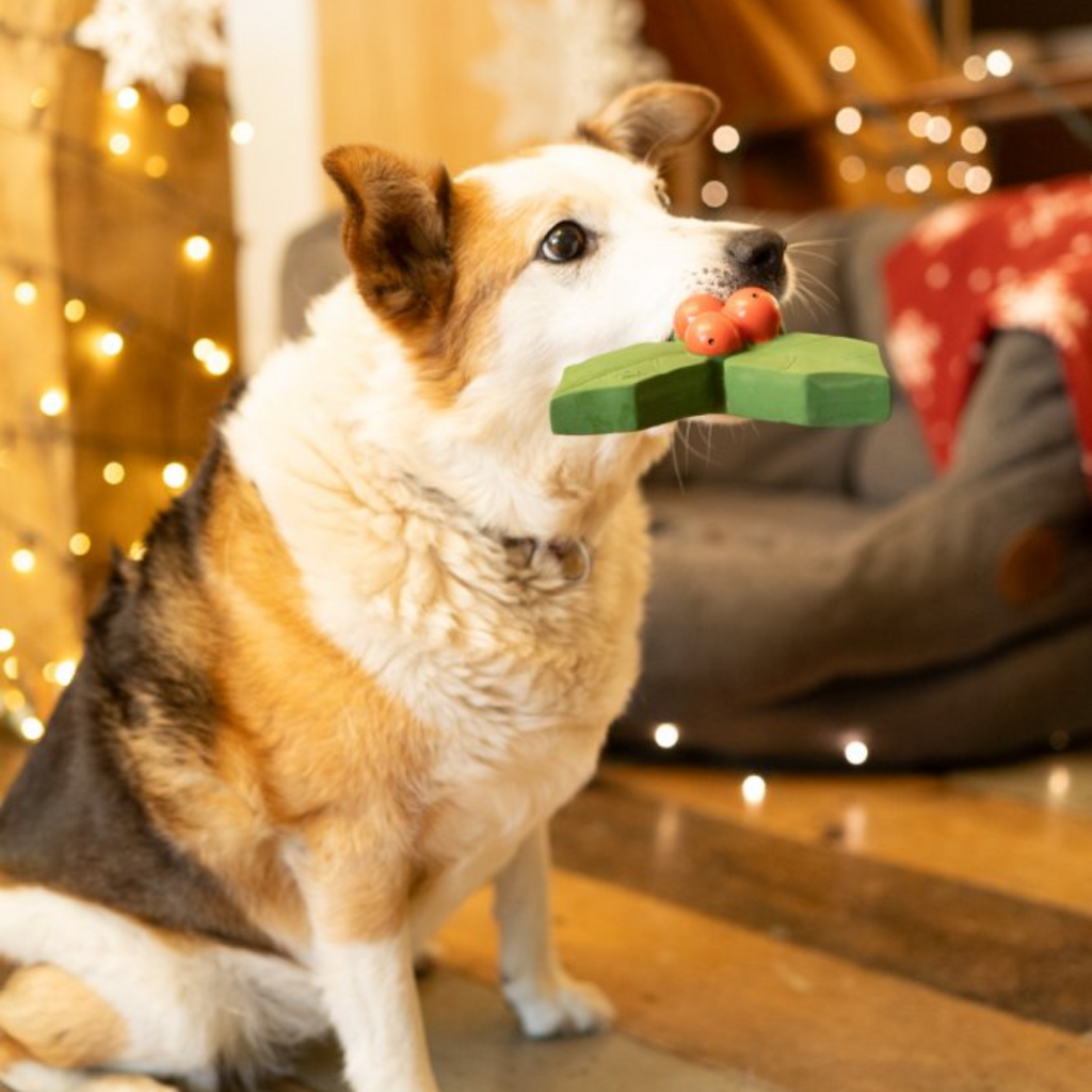 Petface Holly Latex Christmas Dog Toy