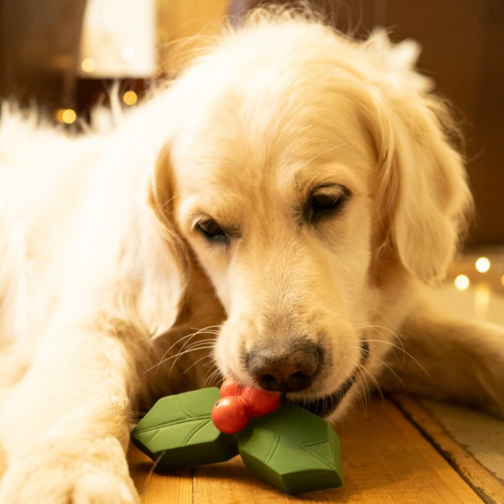 Petface Holly Latex Christmas Dog Toy
