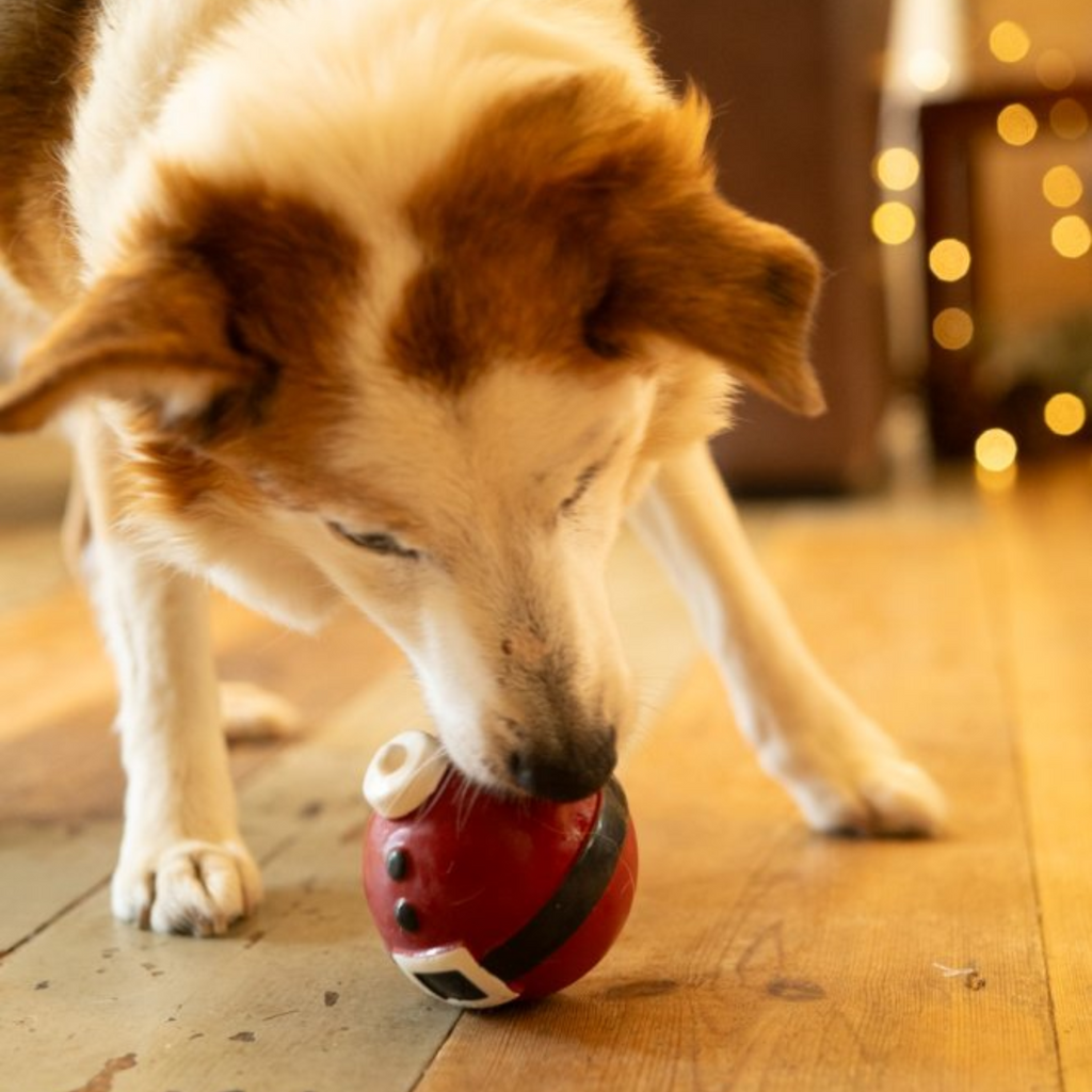 Petface Claus Latex Christmas Bauble Dog Toy