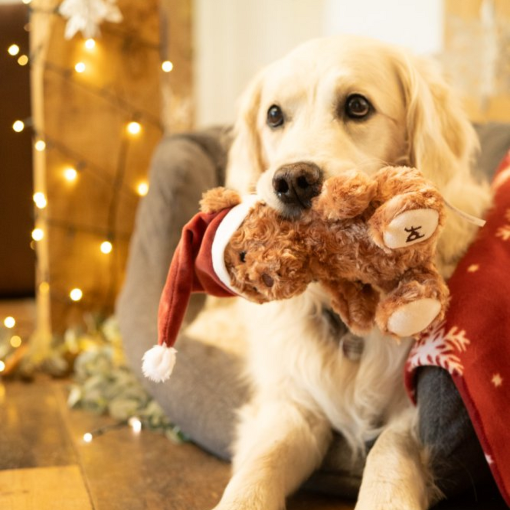 Petface Cassie Curly Christmas Teddy Plush Dog Toy