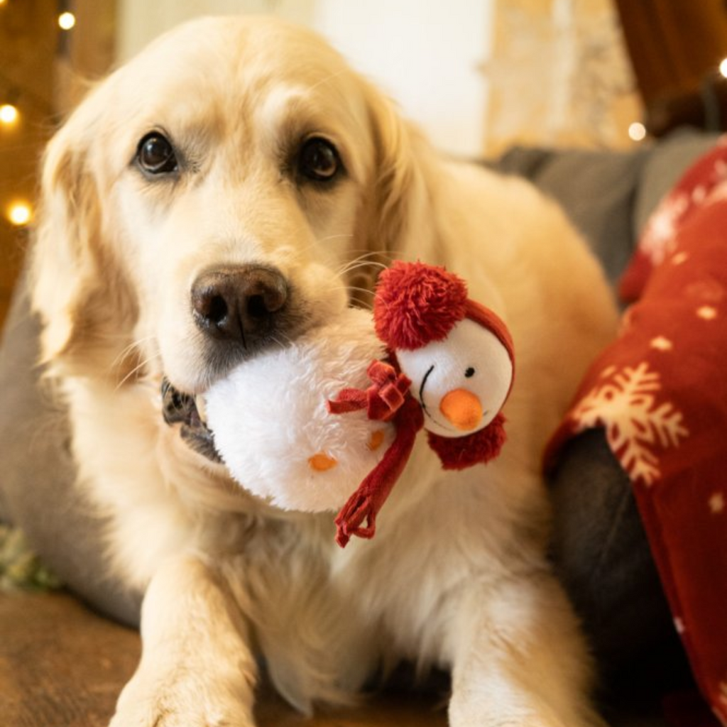 Petface Storm Snowman Plush Christmas Dog Toy