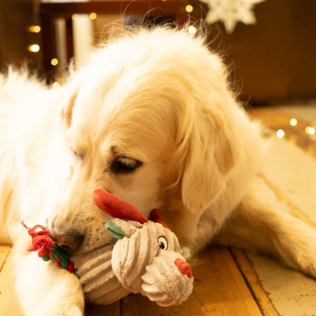 Petface Roger Rope Legs Reindeer Plush Dog Toy