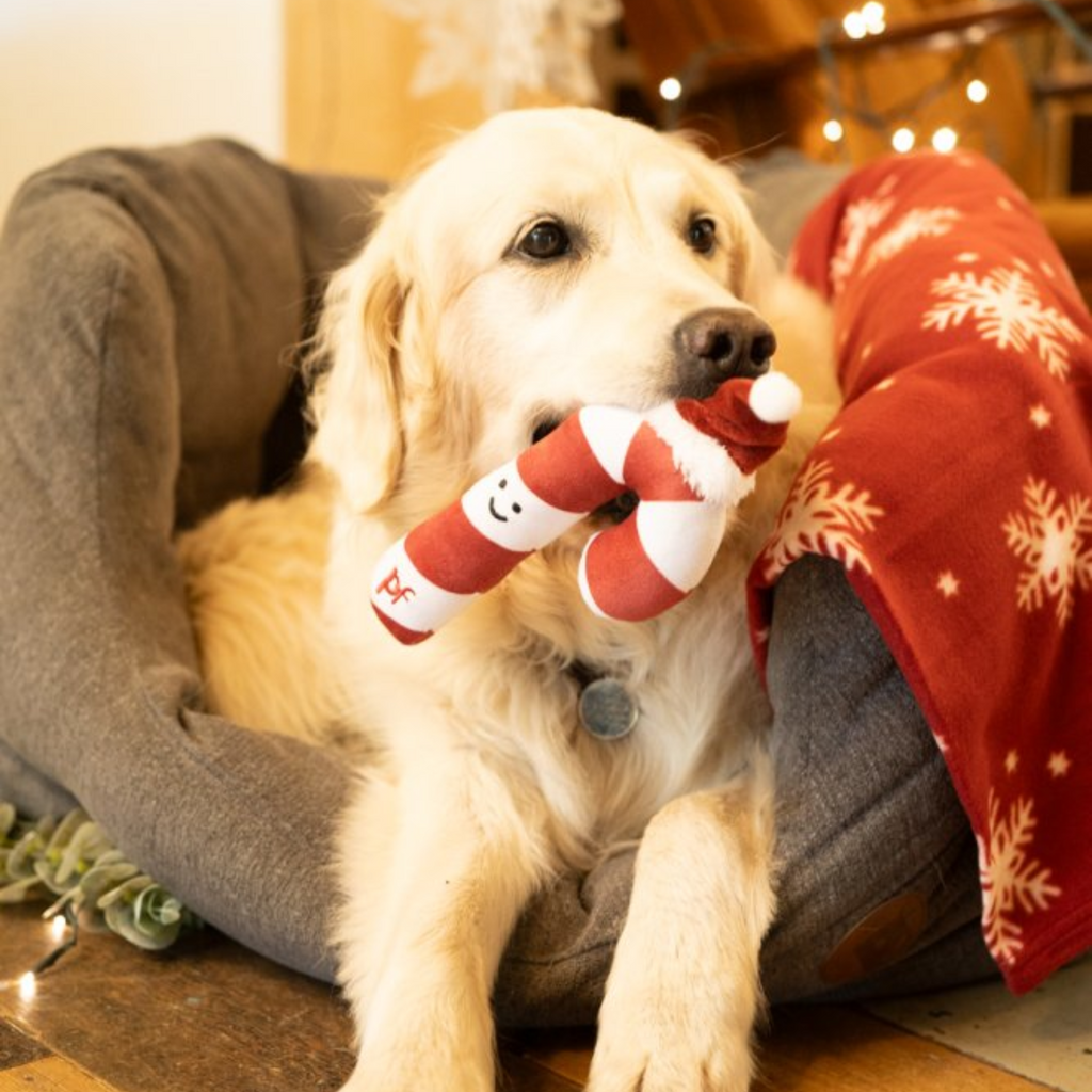 Petface Candy Cane Plush Dog Toy