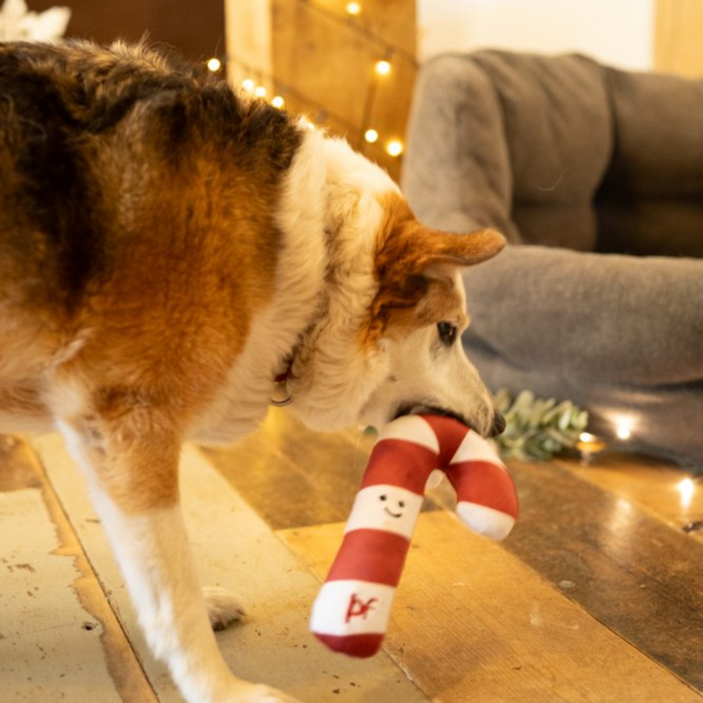 Petface Candy Cane Plush Dog Toy