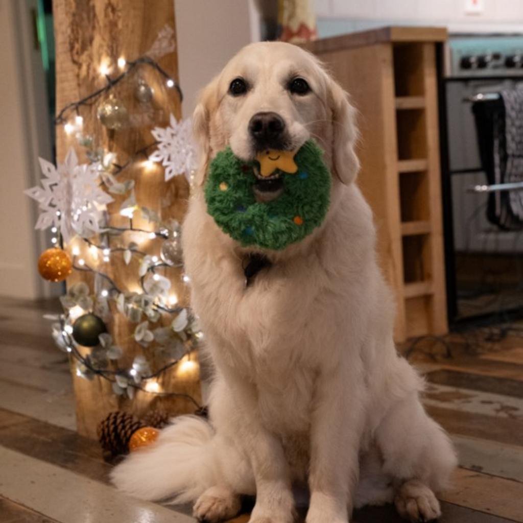 Petface Remy Wreath Plush and Rubber Dog Toy