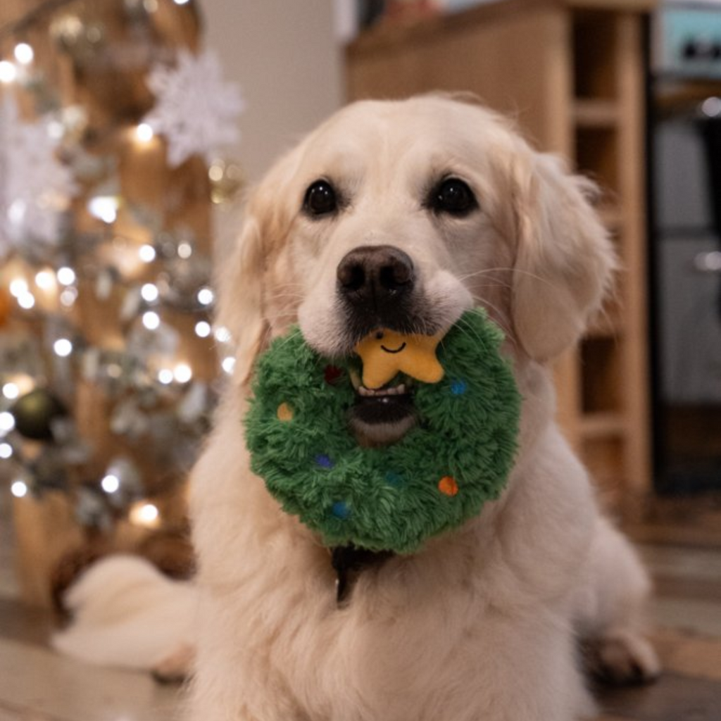 Petface Remy Wreath Plush and Rubber Dog Toy