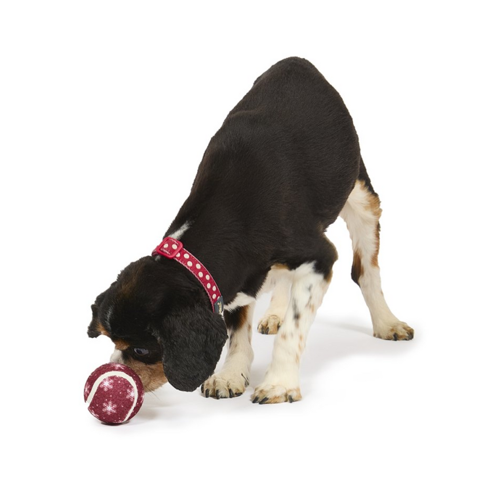 Petface Squeaky Snowflake Tennis Ball Dog Toy