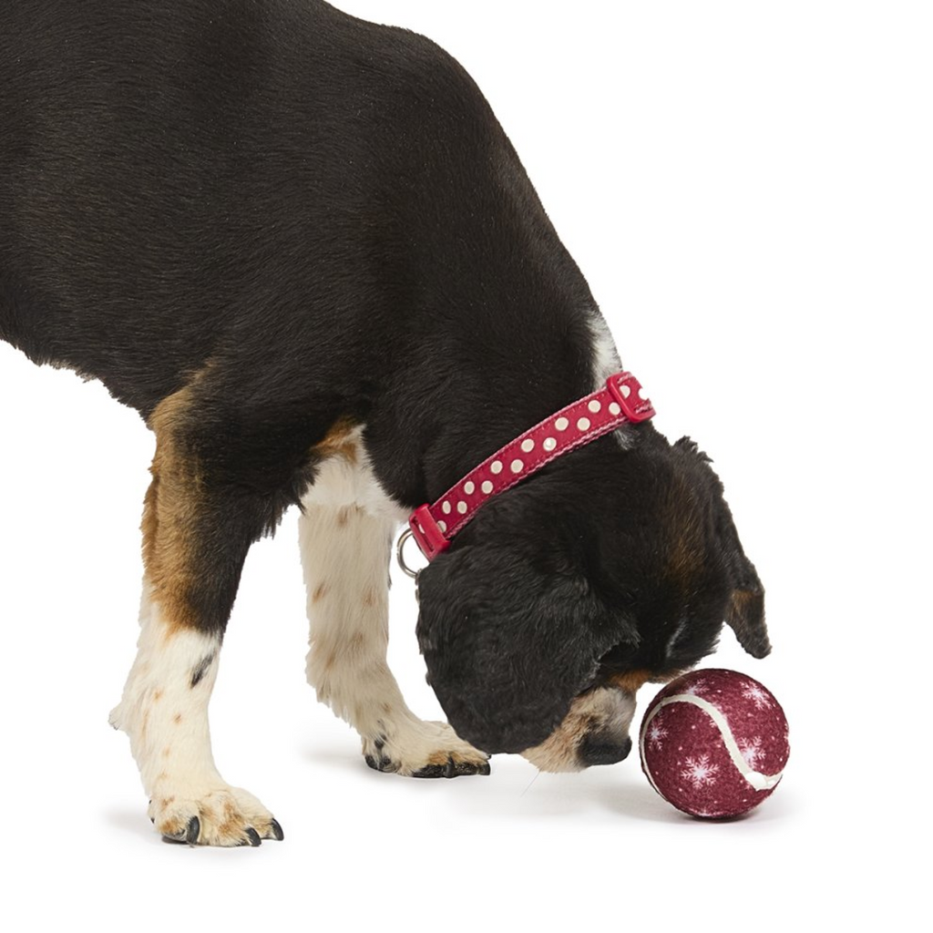 Petface Squeaky Snowflake Tennis Ball Dog Toy