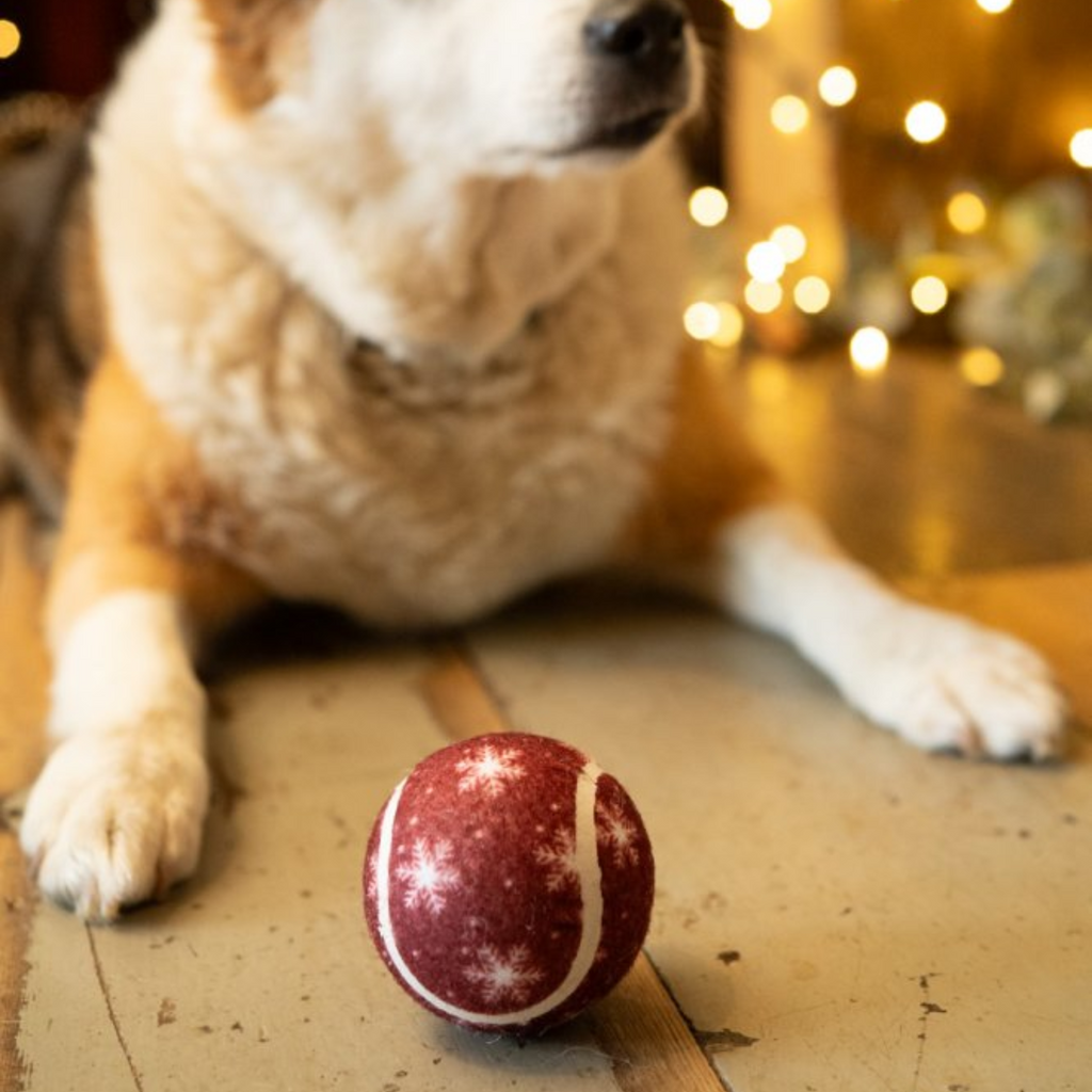Petface Squeaky Snowflake Tennis Ball Dog Toy