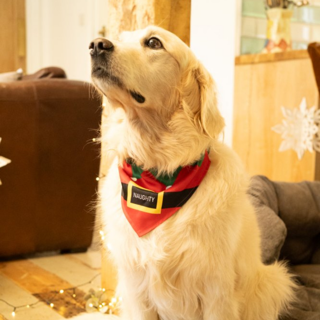 Petface Naughty or Nice Double Sided Pet Bandana