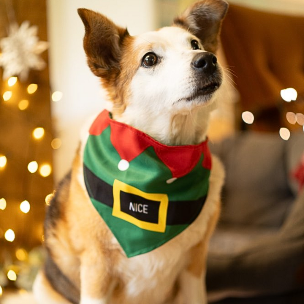 Petface Naughty or Nice Double Sided Pet Bandana