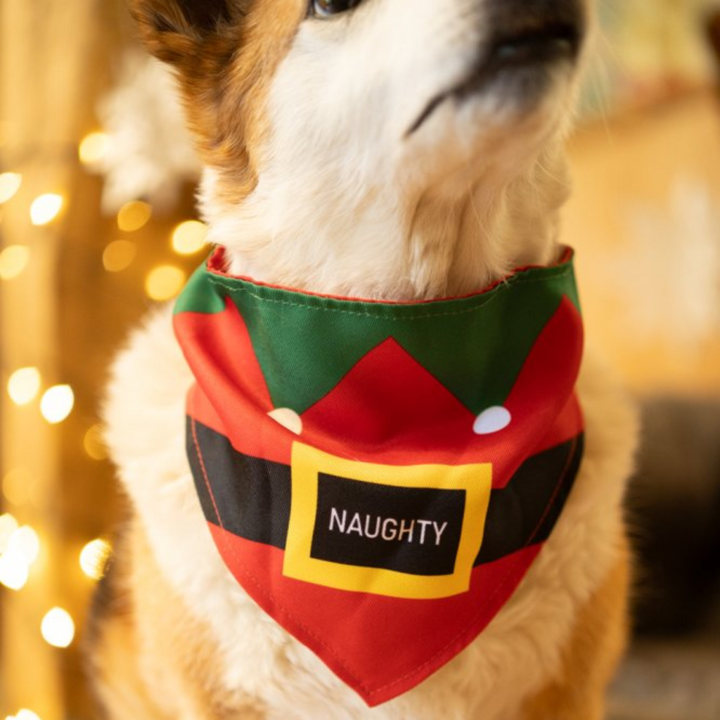 Petface Naughty or Nice Double Sided Pet Bandana