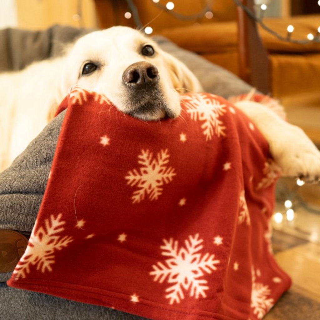 Petface Snowflake Fleece Comfort Blanket