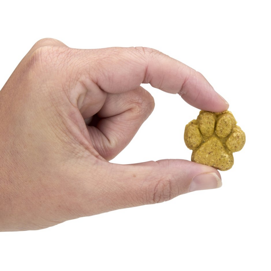 Petface Dog Deli Gingerbread Paws Christmas Dog Treats - 100g