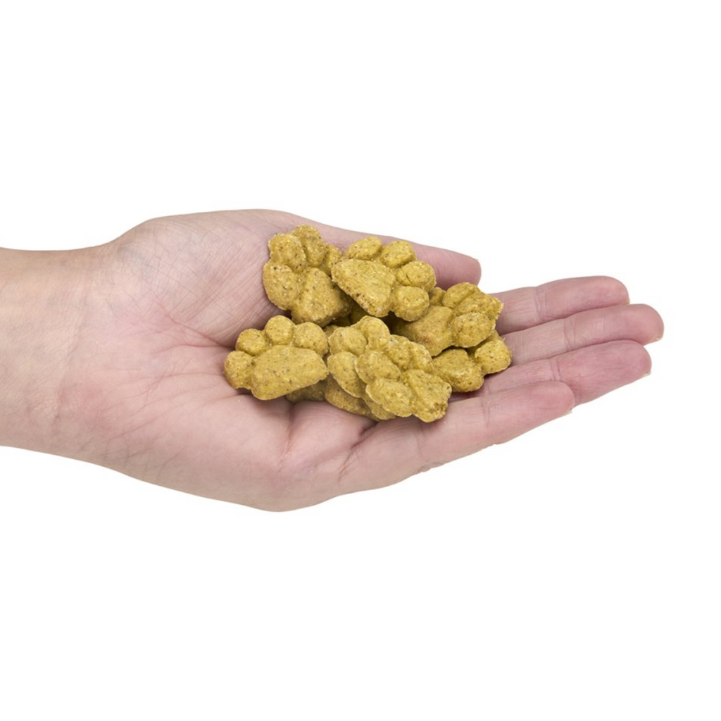 Petface Dog Deli Gingerbread Paws Christmas Dog Treats - 100g