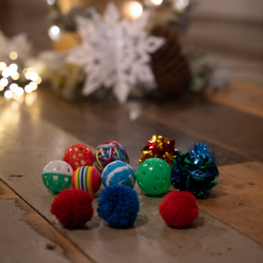 Petface Catkins Cat Play Pack - 12 Assorted Toys