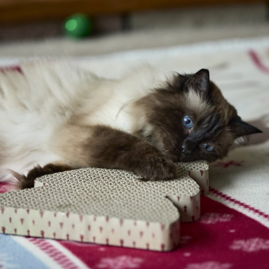 Petface Tree Cardboard Cat Scratcher